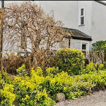 The Mews - Less Than 1Km To City Centre - Stadium - Castle - 10 Min Walk Cardiff Kültér fotó